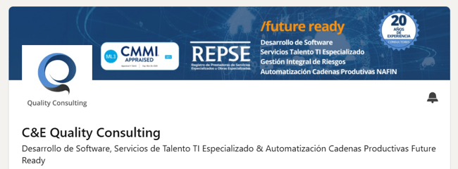 CEQConsulting
