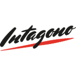 LogoIntagono-Color